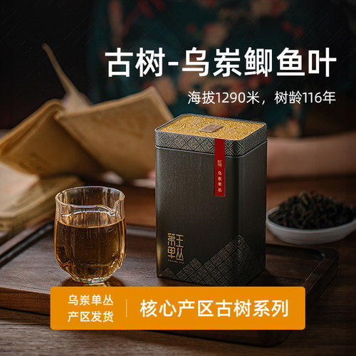 潮州凤凰单丛茶鲫鱼叶