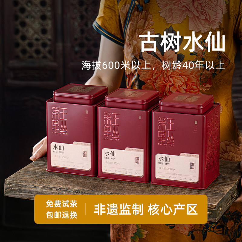 潮州凤凰单丛水仙礼盒装