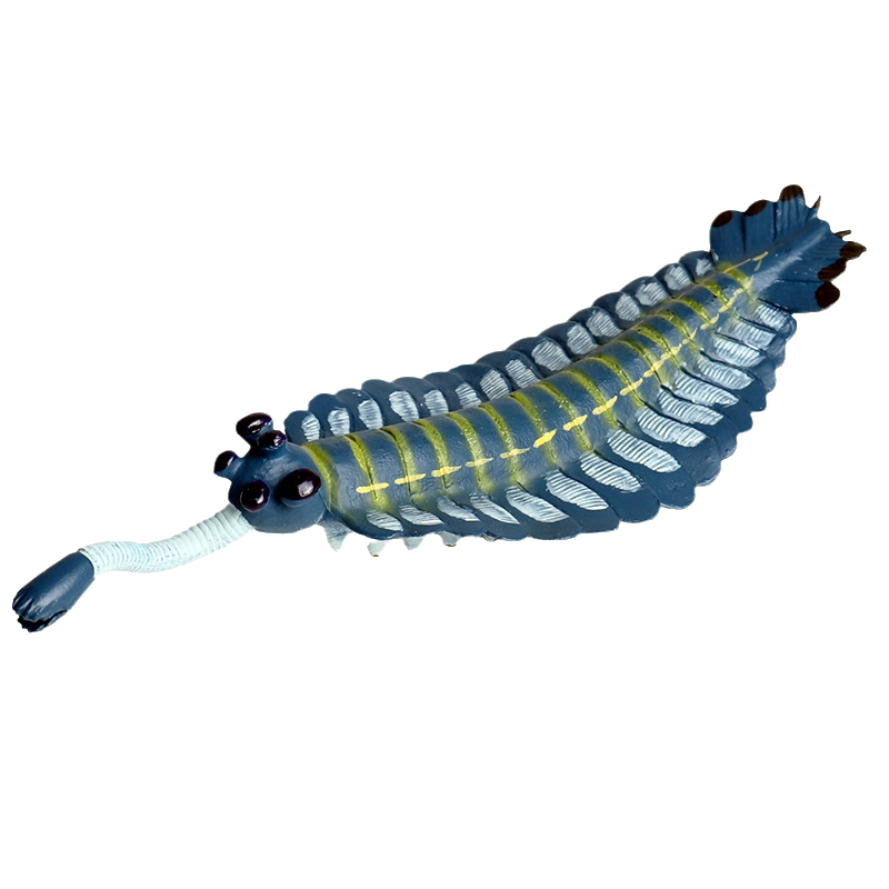 寒武纪史前生物欧巴宾海蝎模型