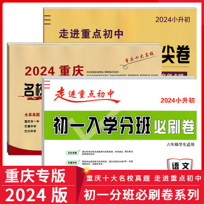 2024年小升初走进重点初中必刷卷