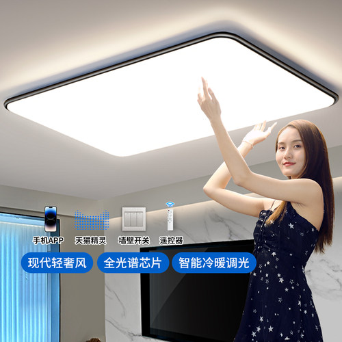 客厅主灯LED吸顶灯客厅灯现代简约大气广东中山灯具组合全屋套餐
