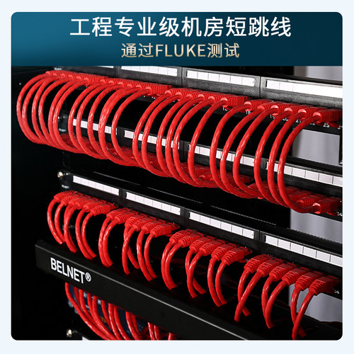 超五类无氧铜国标机房短跳线