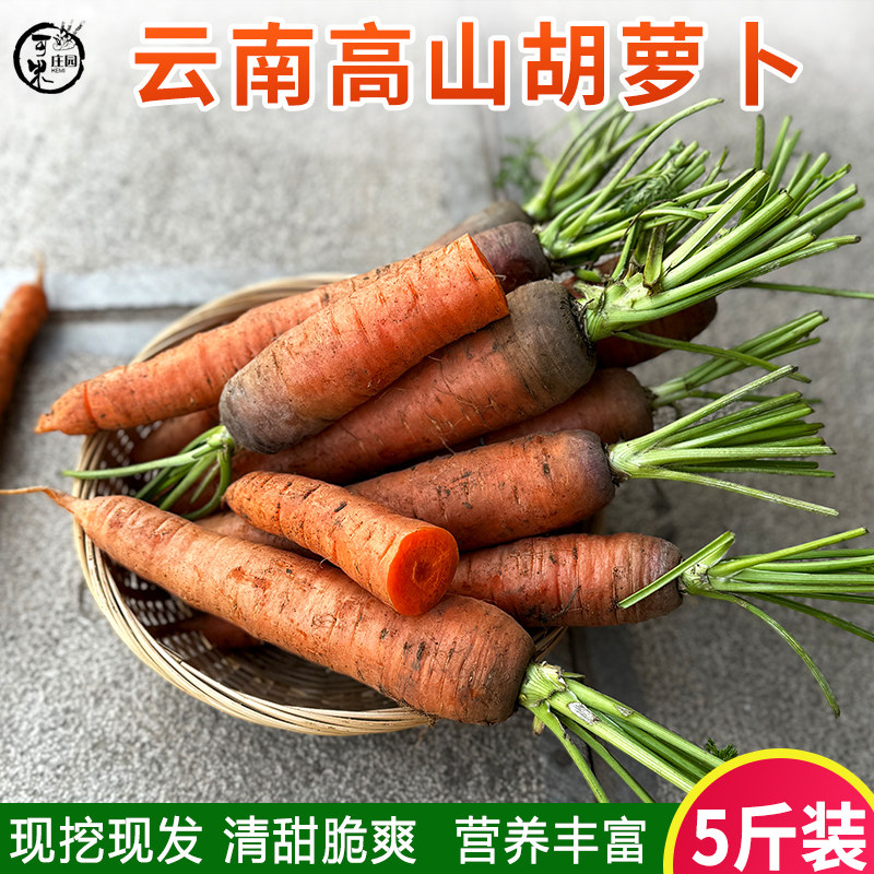 云南高山胡萝卜5斤老品种沙地水果生吃新鲜现挖榨汁黄心沙窝蔬菜,水产肉类/新鲜蔬果/熟食,萝卜/胡萝卜,淘宝优惠券,粉丝福利购,淘宝优惠卷