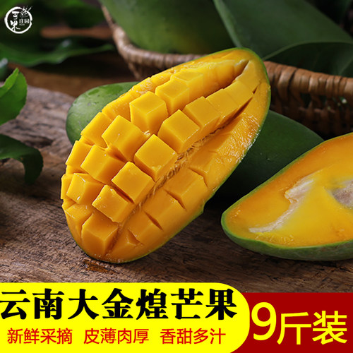云南大金煌青皮芒果新鲜当季