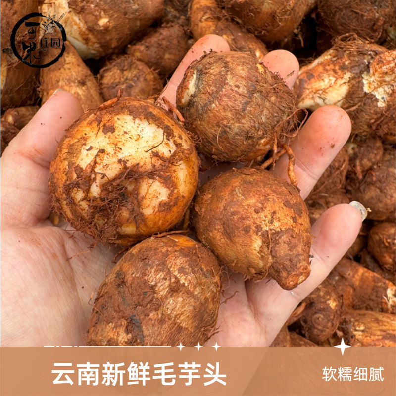 2026云南新鲜牛奶芋头毛芋头软糯图片