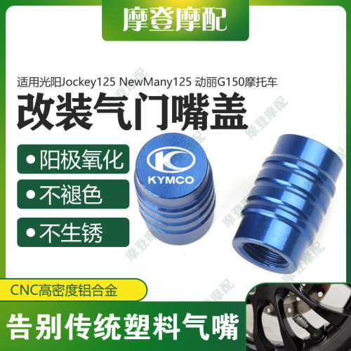 光阳Jockey125动丽G150气门嘴盖