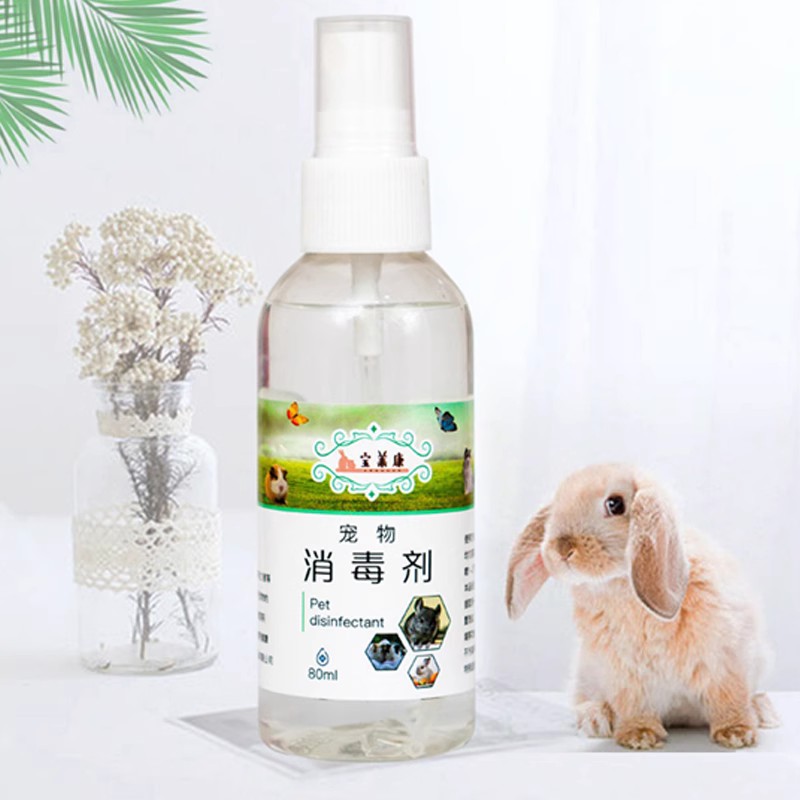 宝莱康荷兰猪豚鼠宠物兔子仓鼠龙