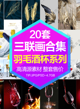 装饰画画芯高清图库红酒杯子羽毛翅膀三联画组合电子图片设计素材