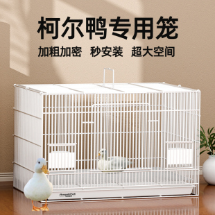 用品屋育雏房家用室内大号豪华别墅 鸭笼柯尔鸭专用笼子养小鸭子