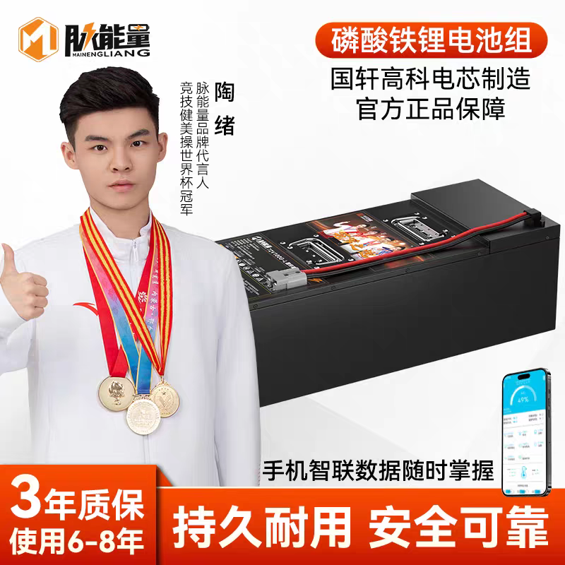 60V72V磷酸铁锂大容量锂电池台铃雅迪九号小牛极核等两轮车三轮车