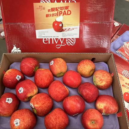 新西兰爱妃苹果 散装4~6斤新鲜进口envy3616不氧化甜脆红苹果水果