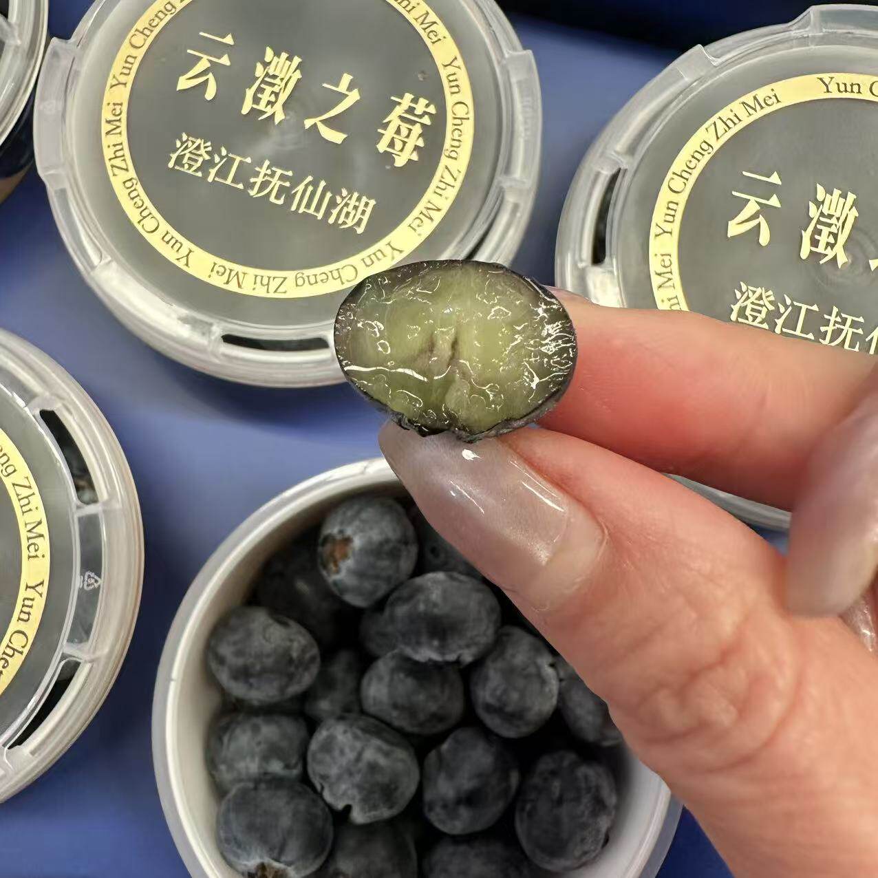 云南云徵之莓蓝莓 礼盒装18+单盒100g 新鲜现摘圆筒甜脆国产水果