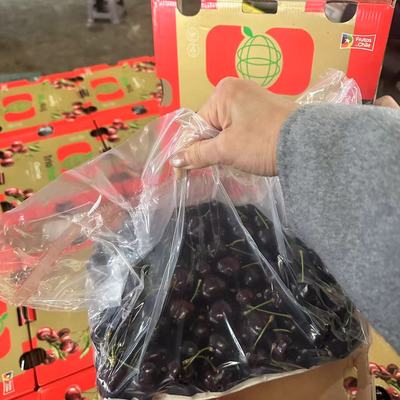 智利SANTINA海运车厘子 5斤3JD 新鲜红车桑提娜樱桃甜脆包装随机