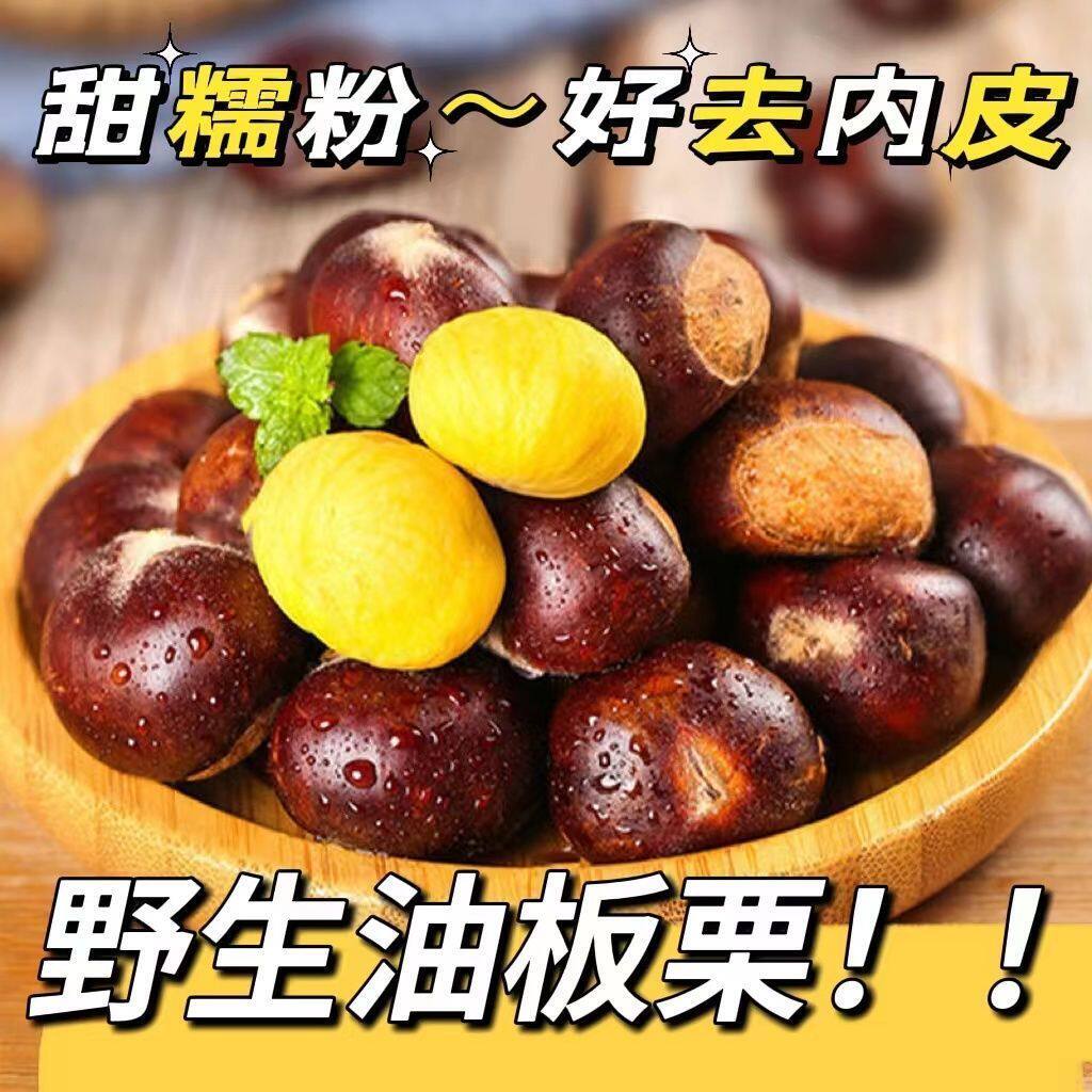2025山东高山特产粉糯板栗栗子带壳新鲜即食油栗易去皮正宗生栗子