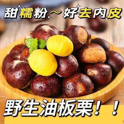 2025山东高山特产粉糯板栗栗子带壳新鲜即食油栗易去皮正宗生栗子