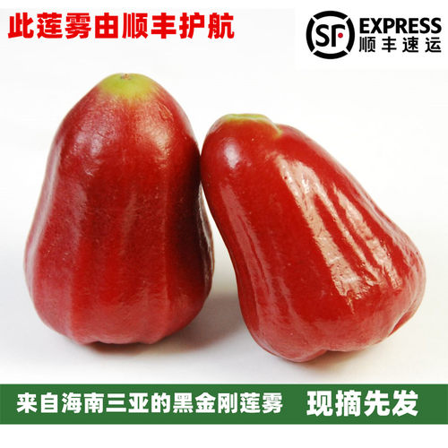 海南三亚黑金刚莲雾汁多清甜