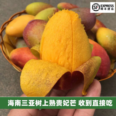 海南三亚树上熟贵妃汁多甜度高