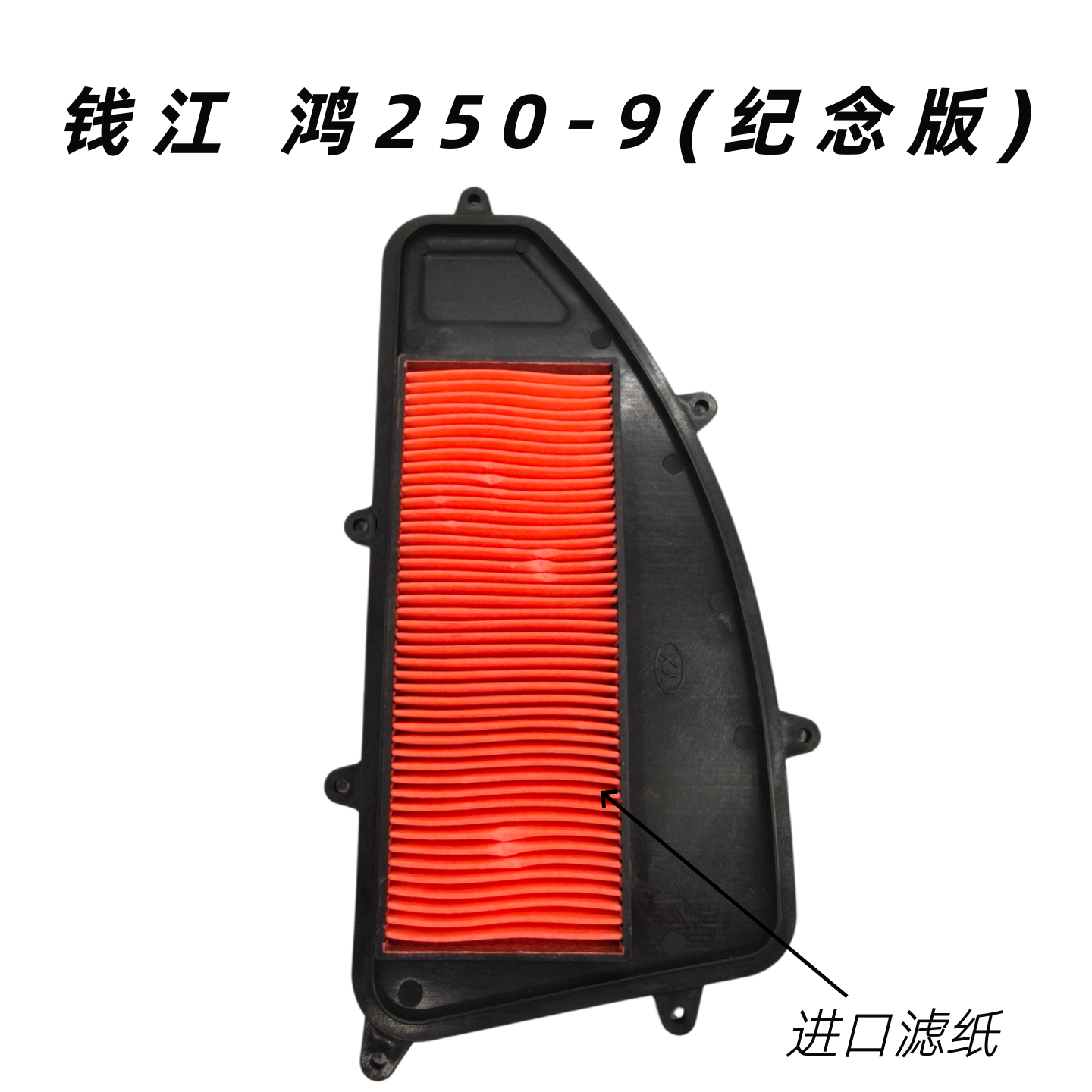 适用钱江踏板摩托车 鸿250QJ250T-9 纪念版 空滤芯空气滤清器滤心