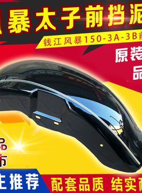 摩托车配件风暴太子前挡挡泥板