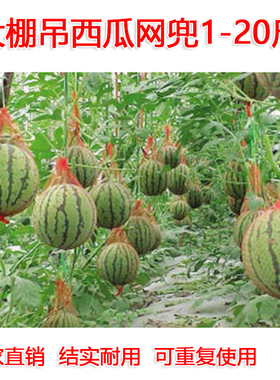 大棚吊西瓜网兜厚吊瓜挂瓜网袋子哈密瓜10斤红色带绳塑料网袋批发