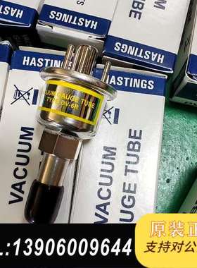 全新正品 美国黑斯廷斯真空计stings真空规管DV-6需问价