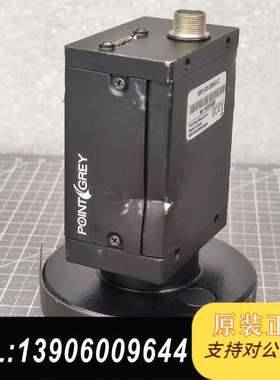 Point Grey灰点 GS3-U3-23S6C-C 工业需问价