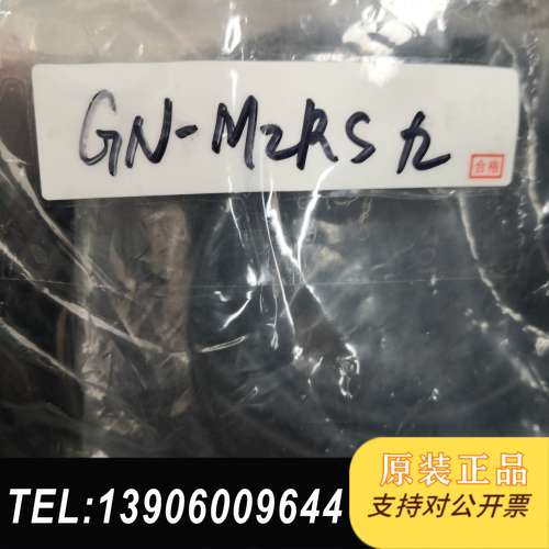 GKM-R1 GN-M2RS ASG-S20R 九成新需问价