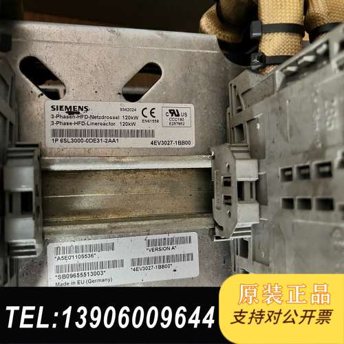 6SL3000-0DE31-2AA1需问价