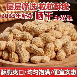 包邮 25年山东大粒新鲜带壳干花生当季 晒干农家自种可当种子可榨油