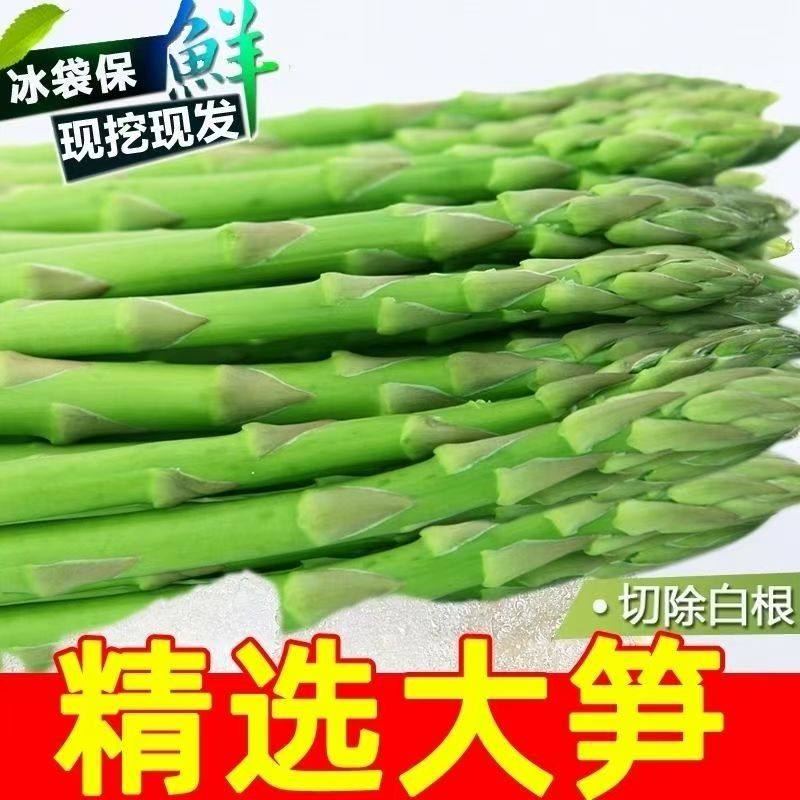 山东农家自种现采当季新鲜青芦笋