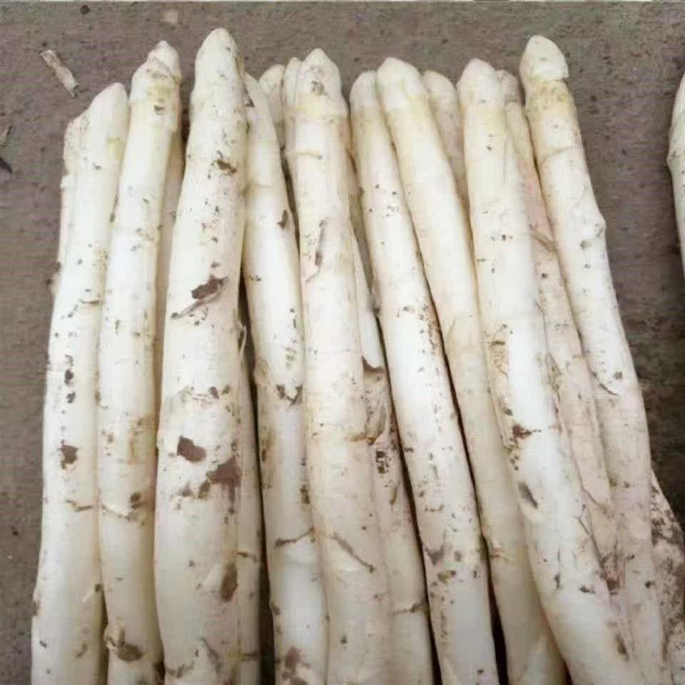 新鲜白芦笋时令蔬菜农家自种现挖现发鲜嫩芦笋山东特产龙须菜当季