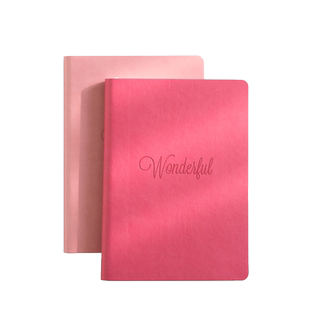 康奈尔笔记本子简约文艺 精致读书阅读记录本摘抄本摘记本高颜值记录本加厚日记本手账本复古ins风大学生本子