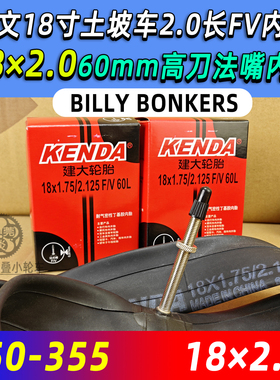 世文BILLY BONKERS 18*2.0碳刀大刀圈用60mm加长法嘴FV内胎