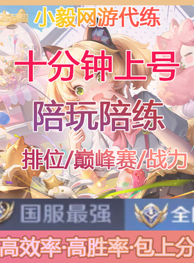 王者荣耀代打代练小国标省标排位战力巅峰赛小魔方陪玩带上分车队
