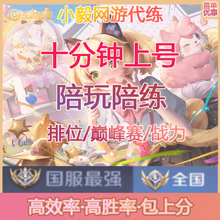 王者荣耀代练打排位上分带练车队英雄荣耀战力玩赛市标包金标