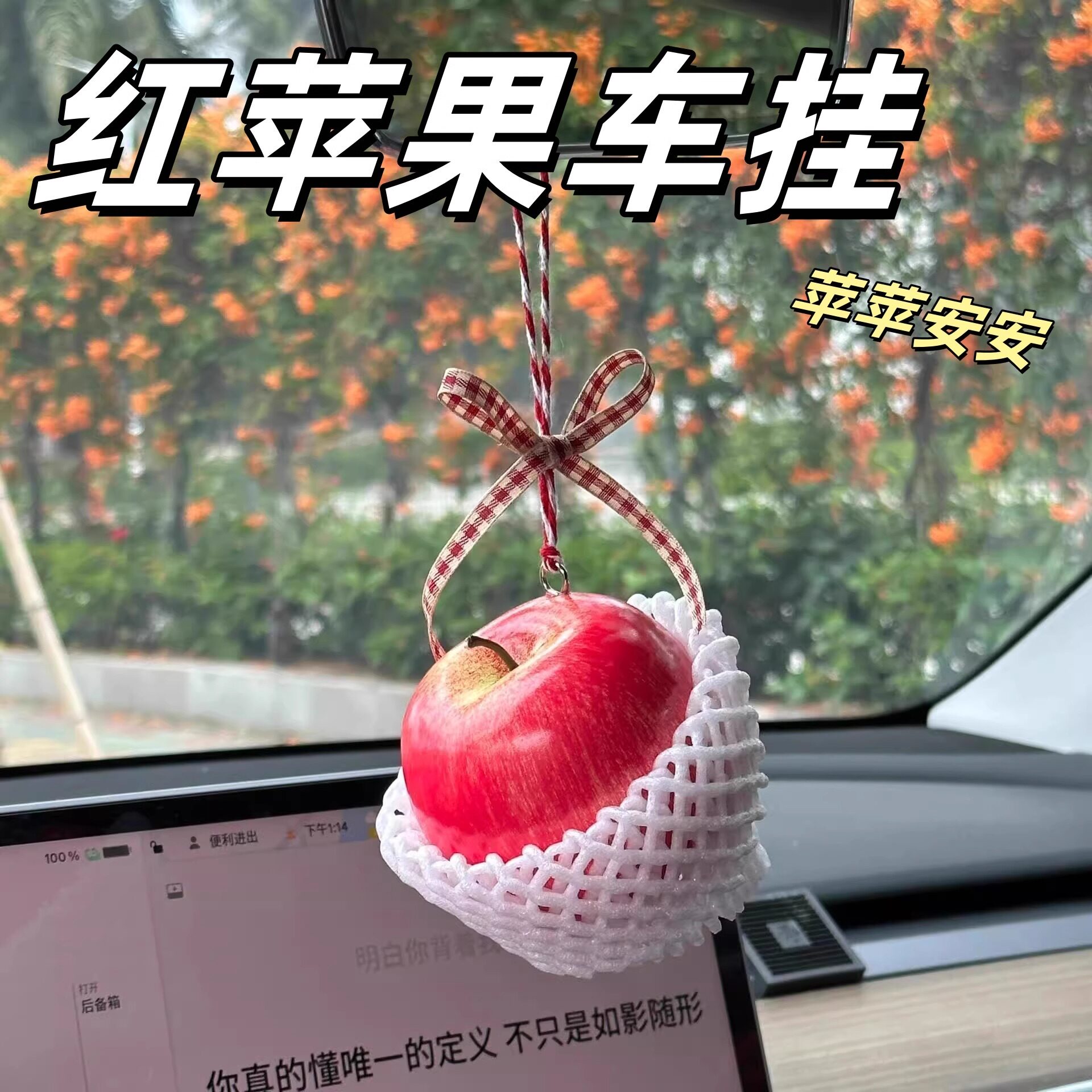 苹果车挂汽车内饰后视镜