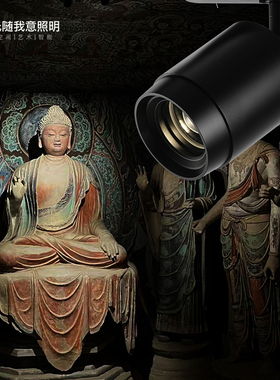 导轨道射灯聚光明装COB画廊博物馆照画照佛像专用餐饮变焦吸顶LED