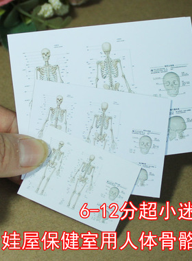 超小迷你人体骨骼图 骷髅头 BJD娃屋玩具 6812分 YOSD 小布OB11