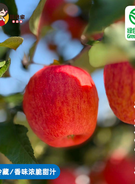 糯米家香奈苹果香味浓郁脆甜多汁晚采高糖高端水果绿色认证