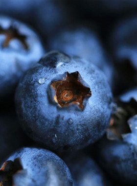 糯米家云南花香蓝莓L25脆甜爆浆花香芬芳大果当季现摘顺丰空运