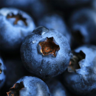 糯米家云南花香蓝莓L25脆甜爆浆花香芬芳大果当季 现摘顺丰空运