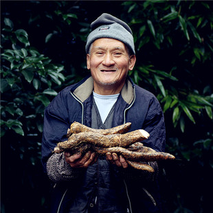 糯米家宝兴山顶野山药新鲜现挖宝兴山药真空包装半野生粉糯纯天然