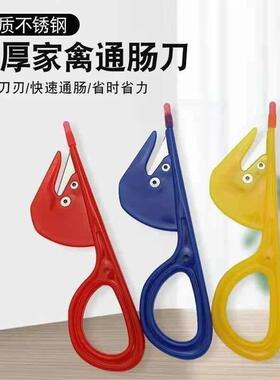 不锈钢加厚家禽肠剪刀鸡鸭肠鹅通肠刀剪穿肠刀泥鳅黄蟮小鱼开腔刀