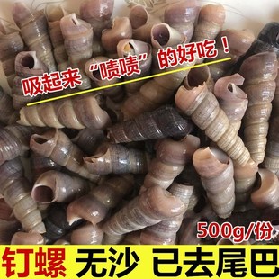 鲜活钉螺海鲜500g水产新鲜海螺丝海锥锥螺去尾九层螺5份包邮顺丰