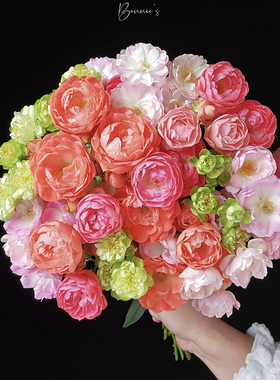 新品红橙粉白色泡芙月季花多头微型勤花易养阳台盆栽庭院品种集合