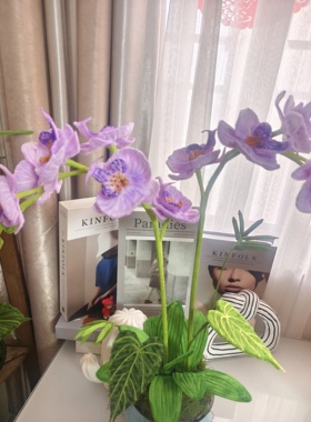纯手工扭扭棒蝴蝶兰紫色盆栽