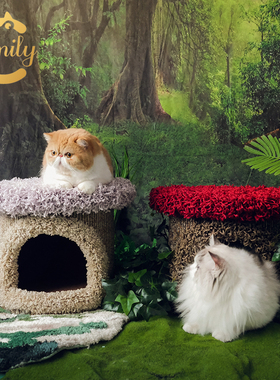 Camily蘑菇墩墩猫窝猫爬架高级定制挪威苔藓森林的家耐抓毛绒