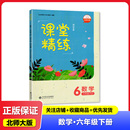 四川专版 小学6六年级下册数学课堂精练 六年级下数学教辅辅导书 社 北师大版 六下数学同步练习册 北京师范大学出版