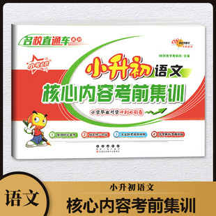 小升初语文核心内容考前集训 68所名校 小升初毕业升学总复习资料教辅六年级下册暑假作业衔接教材同步练习册模拟测试题升初中