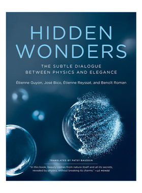 英文原版 Hidden Wonders The MIT Press 优雅的物理 法国科学图书奖 欧洲科学院院士Etienne Guyon 英文版 进口英语原版书籍